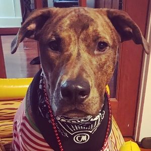 Meet your Posher, Stormi